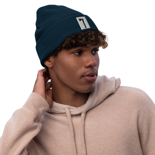 Axe Knit Beanie